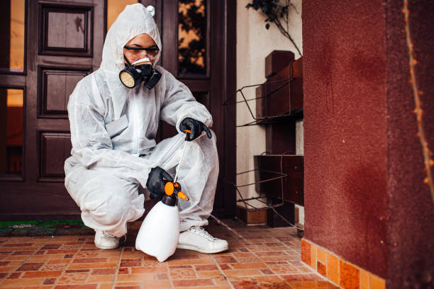 Attic and Crawl Space Rodent Treatment in Parker